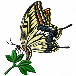 Butterfly Embroidery Design 8